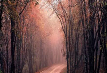 乌迪内斯球员斩获进球，赢得比赛