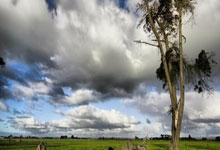 西班牙名宿退役，球坛传承珍重