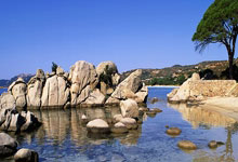 意大利门将表现出色，欧预赛战胜对手